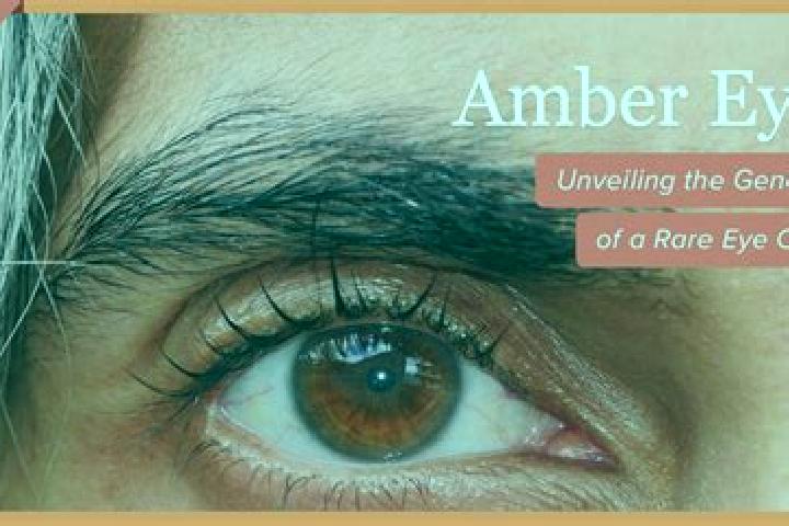 Aurora, 22, a red amber-eyed caribbean companion based in Cabezas. Offering Tantra, A-Level, Overnight, Couples. Available for incall and outcall, overnight ...