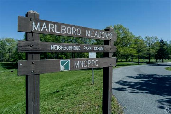 Aurora, 23 — Escort in Marlboro Meadows, United States