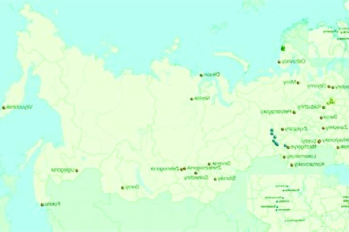 Aurora, 23 — Escort in Shatoy, Russia