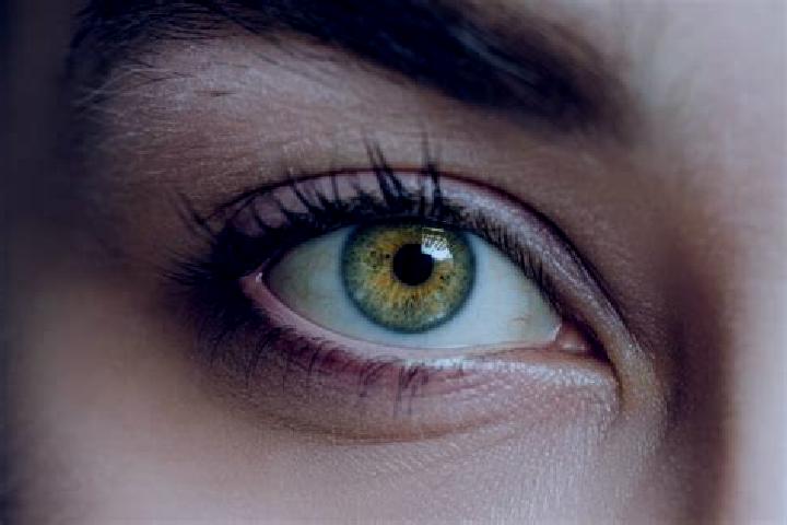 Aurora, 24, a red hazel-eyed mixed companion based in Aiken. Offering Overnight, Prostate Massage, Travel Companion. Available for incall and outcall, overni...