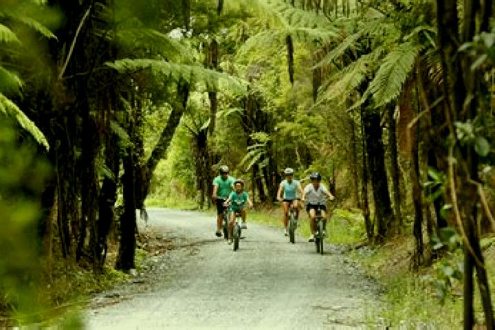 Aurora, 24 — Escort in Kaikohe, New Zealand