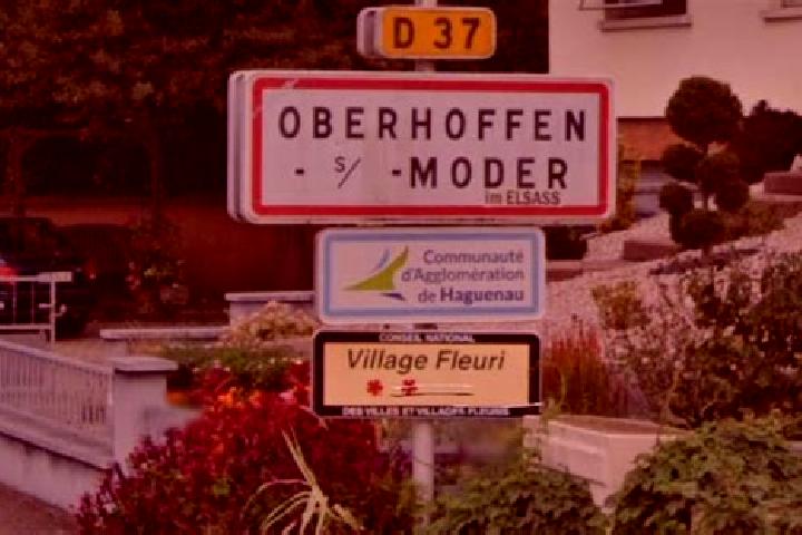 Aurora, 24 — Escort in Oberhoffen-sur-Moder, France