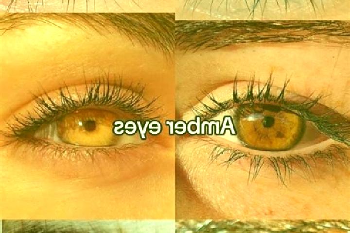 Aurora, 25, a chestnut amber-eyed slavic companion based in Hamberang Sabrang. Offering Deep French Kissing, A-Level, Erotic Massage, Overnight. Available fo...