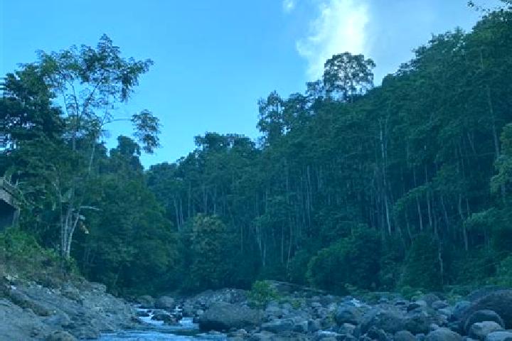Aurora, 25 — Escort in Batuagung, Indonesia
