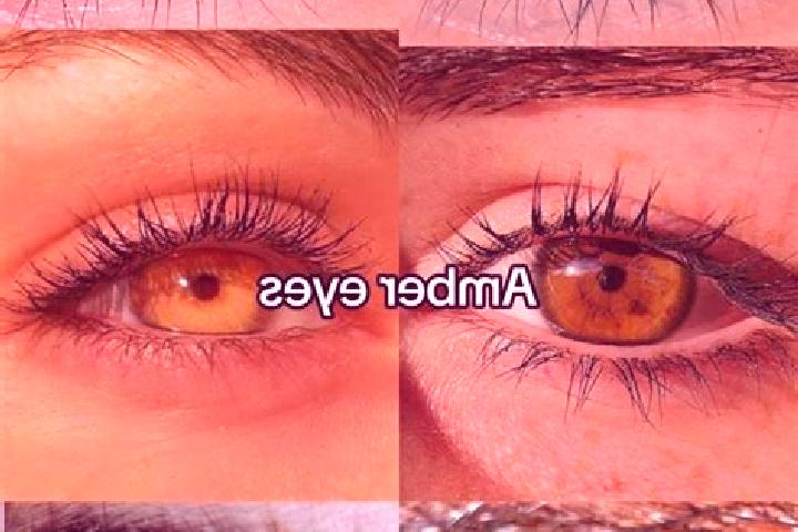 Aurora, 26, a brunette amber-eyed middle eastern companion based in Porto Ceresio. Offering Duos, Domination, BDSM. Available for incall and outcall, overnig...
