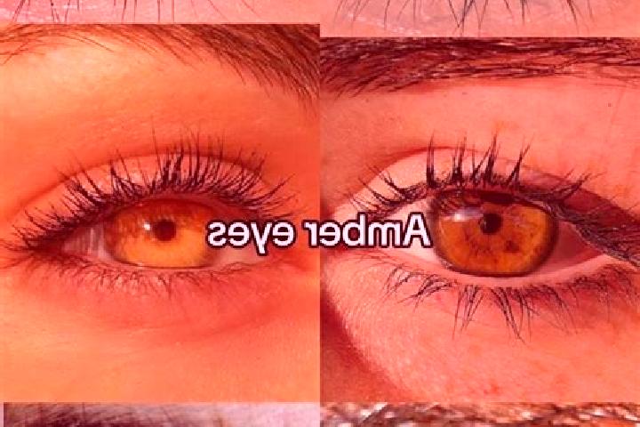 Aurora, 26, a chestnut amber-eyed latina companion based in Bad Arolsen. Offering Travel Companion, Overnight, Fetish. Available for incall and outcall, day ...