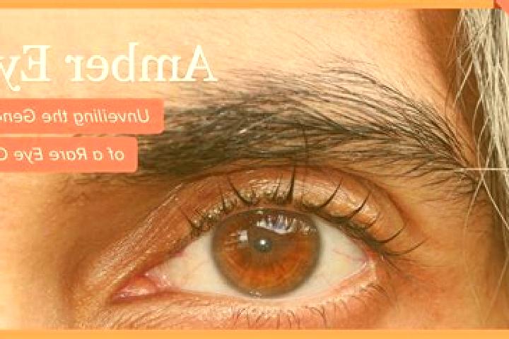 Aurora, 27, a black amber-eyed caucasian companion based in Capiovi. Offering Tantra, Deep French Kissing, Couples. Available for incall and outcall, overnig...