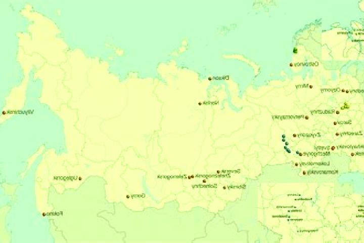 Aurora, 27 — Escort in Gordeyevka, Russia