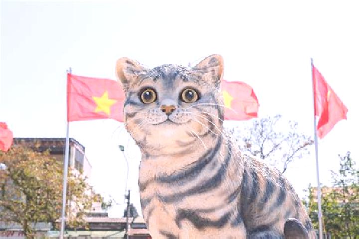 Aurora, 27 — Escort in Na Meo, Vietnam