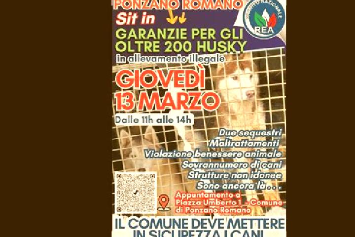 Aurora, 27 — Escort in Ponzano Romano, Italy