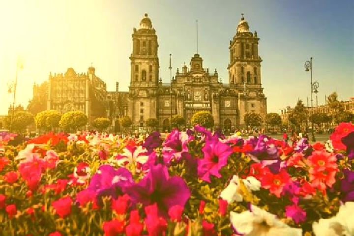 Aurora, 28 — Escort in Ciudad Guzman, Mexico