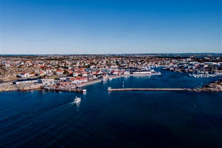 Aurora, 28 — Escort in Hoenoe, Sweden