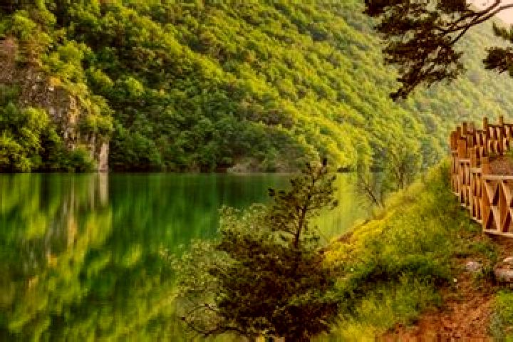Aurora, 28 — Escort in Tasova, Turkey