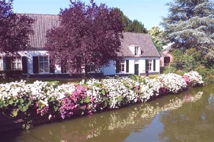 Aurora, 29 — Escort in Bunnik, Netherlands