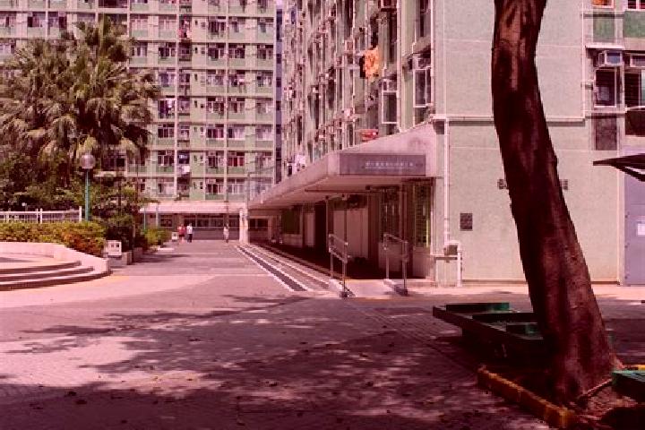 Aurora, 29 — Escort in Choi Wan Estate (I & II), Hong Kong