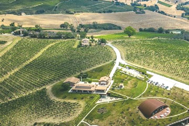 Aurora, 29 — Escort in Poggio San Marcello, Italy
