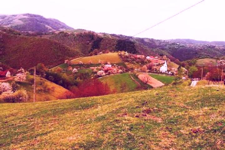 Aurora, 29 — Escort in Valea Glodului, Romania