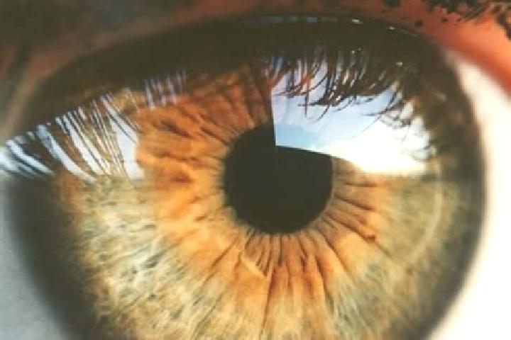 Aurora, 30, a auburn hazel-eyed indian companion based in Ojos de Agua. Offering Travel Companion, Deep French Kissing, Prostate Massage. Available for incal...