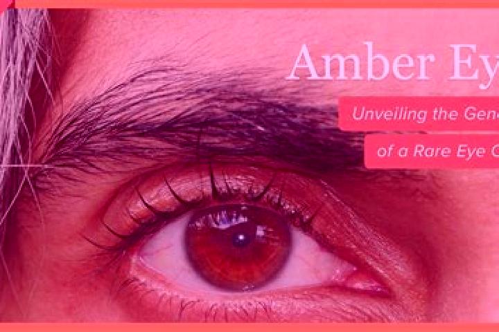 Aurora, 30, a red amber-eyed ebony companion based in Vipperod. Offering Prostate Massage, Roleplay, Deep French Kissing, 69. Available for incall and outcal...