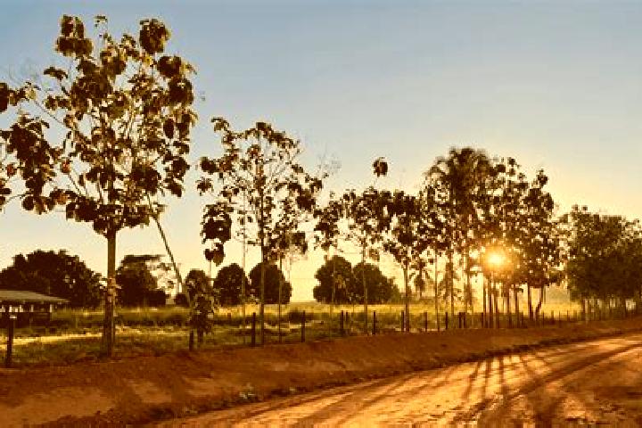 Aurora, 30 — Escort in Juru, Brazil