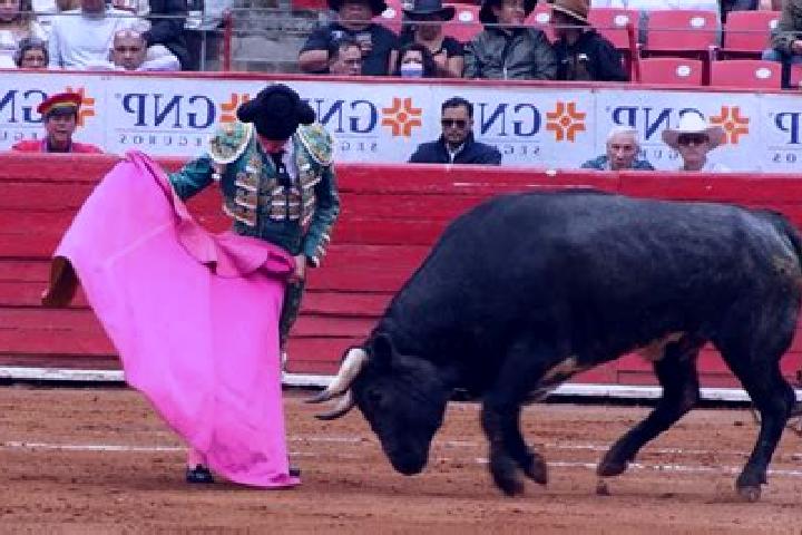 Aurora, 30 — Escort in Tenextepango, Mexico