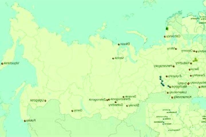 Aurora, 30 — Escort in Uvarovo, Russia