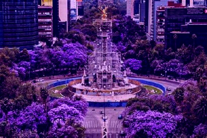 Aurora, 32 — Escort in Jacarandas, Mexico