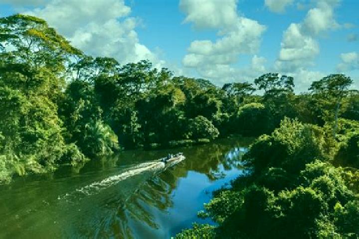 Aurora, 35 — Escort in Bananal, Brazil