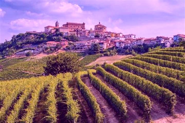 Aurora, 35 — Escort in Frassinello Monferrato, Italy