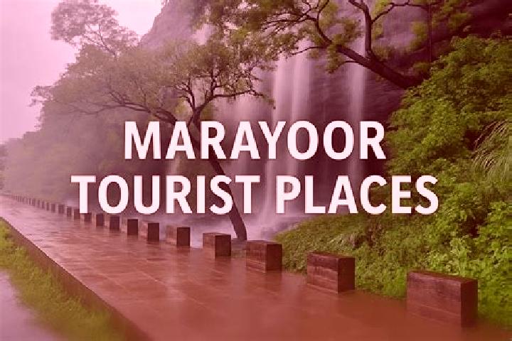Aurora, 35 — Escort in Marayur, India