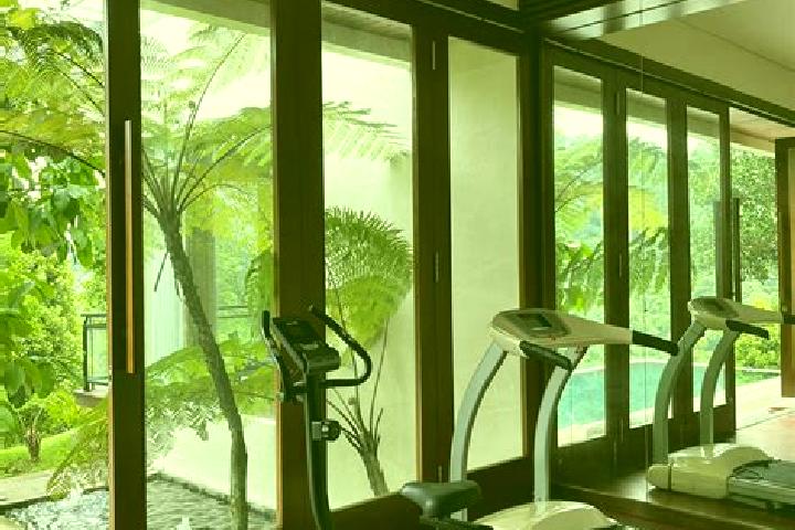 Aurora, 36 — Escort in Babakan Nyampay, Indonesia