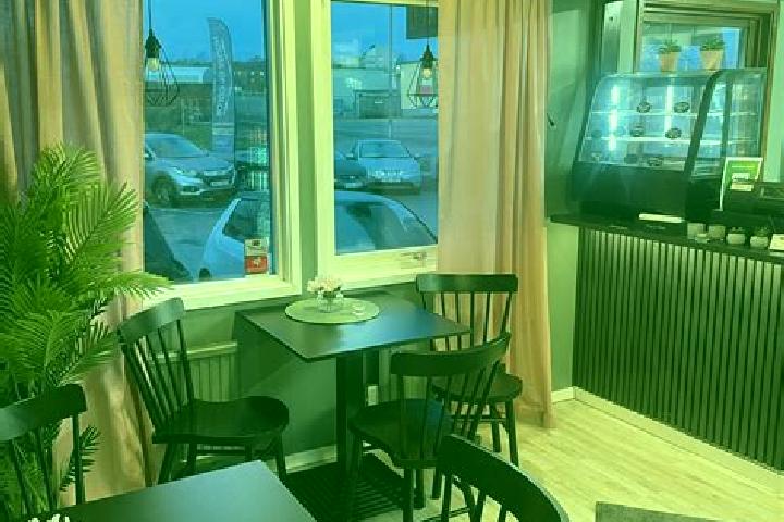 Aurora, 36 — Escort in Kungsbacka, Sweden