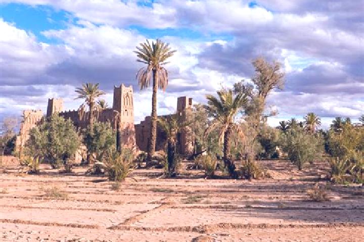 Aurora, 36 — Escort in Skoura, Morocco