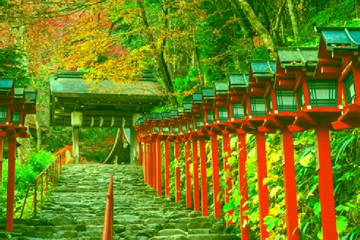 Aurora, 36 — Escort in Takashima, Japan