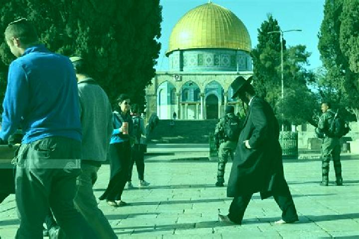 Aurora, 37 — Escort in Mikhmas, Palestine