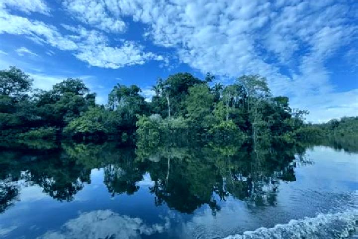 Aurora, 37 — Escort in Siriri, Brazil