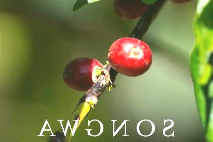 Aurora, 37 — Escort in Songwa, Tanzania
