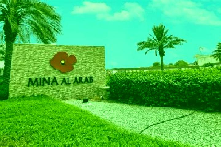 Aurora, 38 — Escort in Al Aqrabaniyah, Palestine