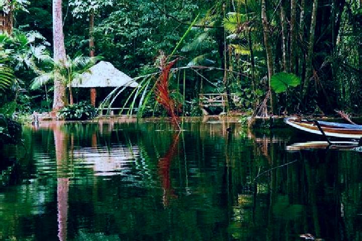 Aurora, 38 — Escort in Lago dos Rodrigues, Brazil