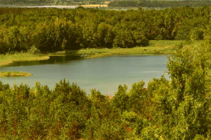 Aurora, 38 — Escort in Przerosl, Poland