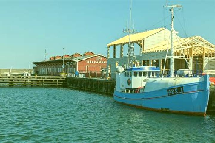 Aurora, 38 — Escort in Thyboron, Denmark