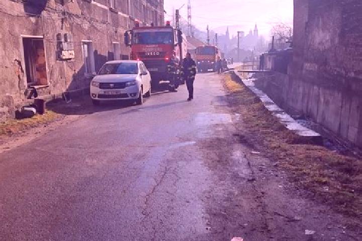 Aurora, 39 — Escort in Aninoasa, Romania