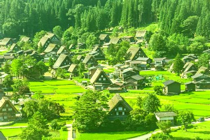 Aurora, 39 — Escort in Hirakawa, Japan