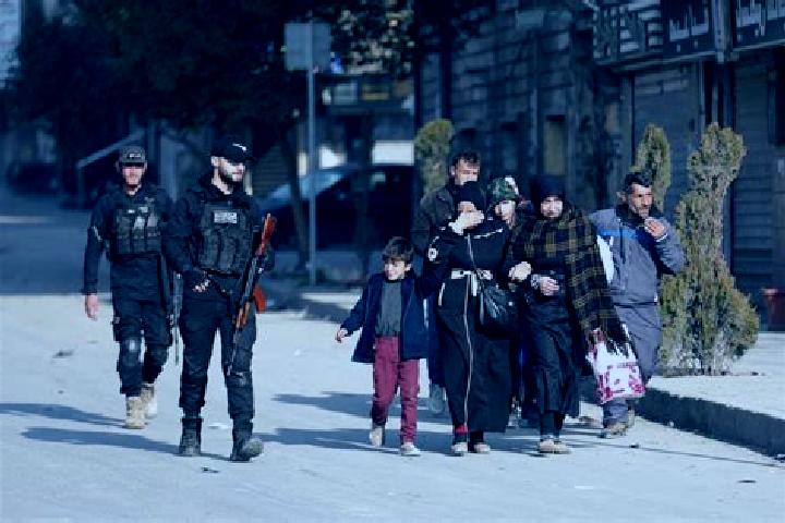 Aurora, 39 — Escort in Kafranbel, Syria