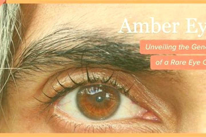 Ava, 20, a red amber-eyed caribbean companion based in Iasi-Gorj. Offering BDSM, Domination, Prostate Massage. Available for incall and outcall, day and even...