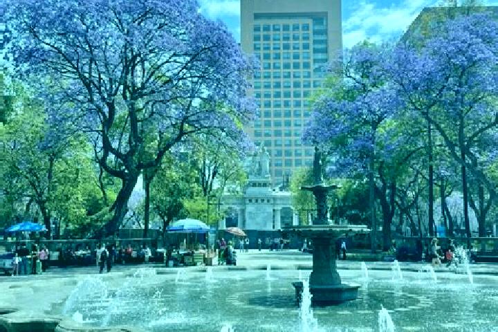 Ava, 20 — Escort in Jacarandas, Mexico