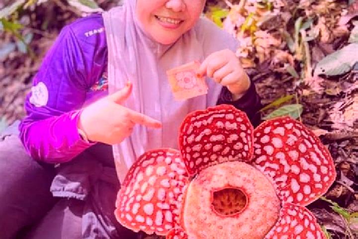 Ava, 20 — Escort in Kampung Bongor, Malaysia