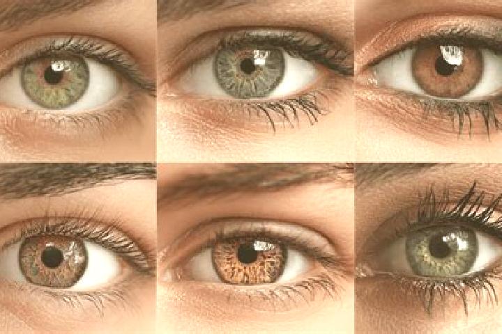 Ava, 21, a black hazel-eyed mixed companion based in Duvenstedt. Offering Duos, GFE, Roleplay, Party Girl, Deep French Kissing. Available for incall and outc...