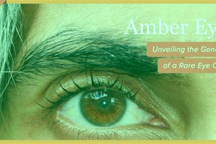 Ava, 21, a dark blonde amber-eyed mixed companion based in Cambamba. Offering GFE, Fetish, Domination, A-Level. Available for incall and outcall, day and eve...