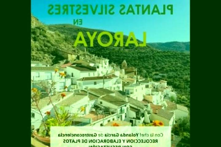 Ava, 21 — Escort in Laroya, Spain